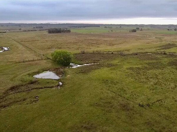 Compra Venta de campos min